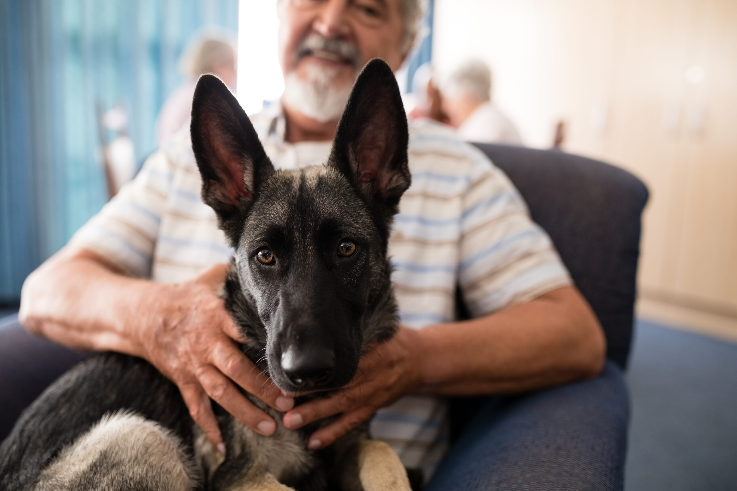 Top 10 Best Guard Dogs for Home Protection: Strong, Loyal, and Fearless