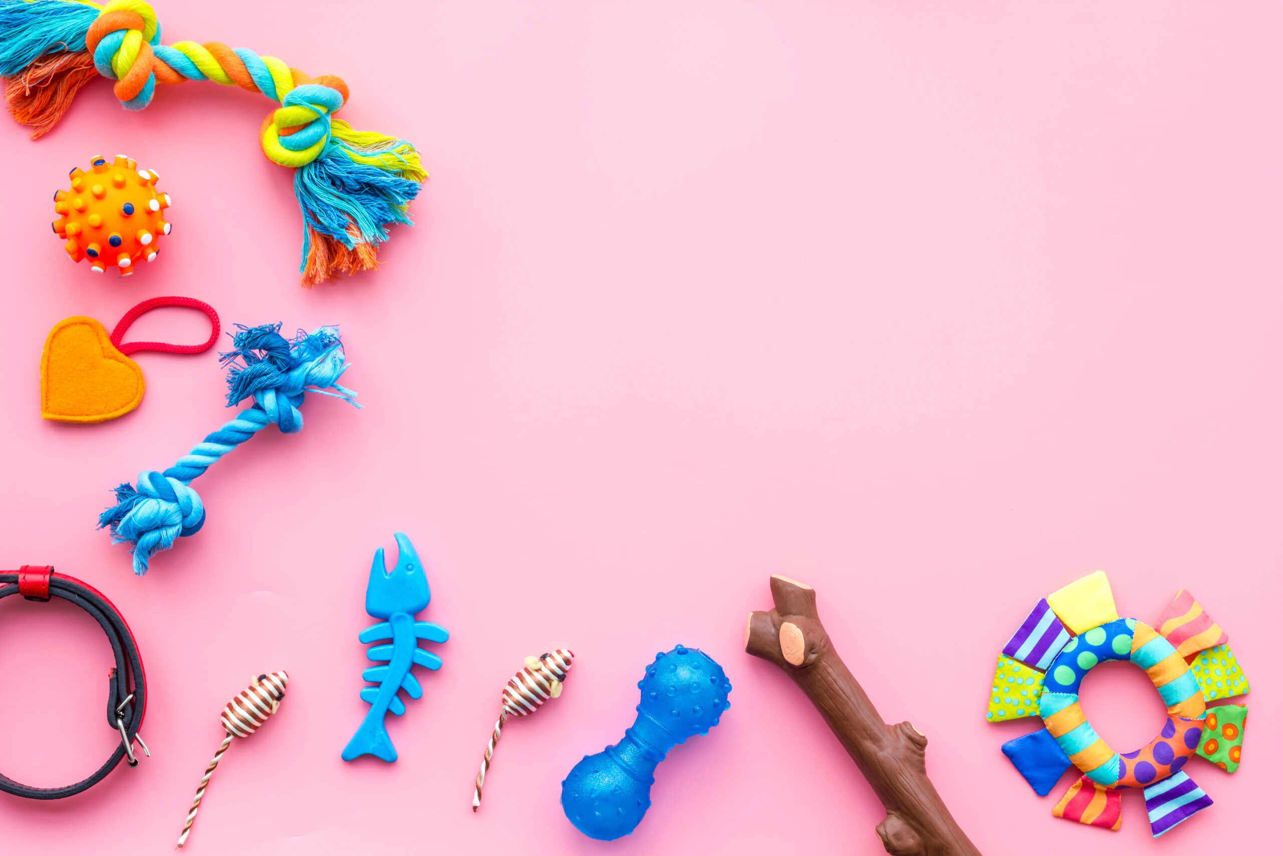 12 Pet Gifts That Are Totally a Waste of Money (And What to Get Instead)