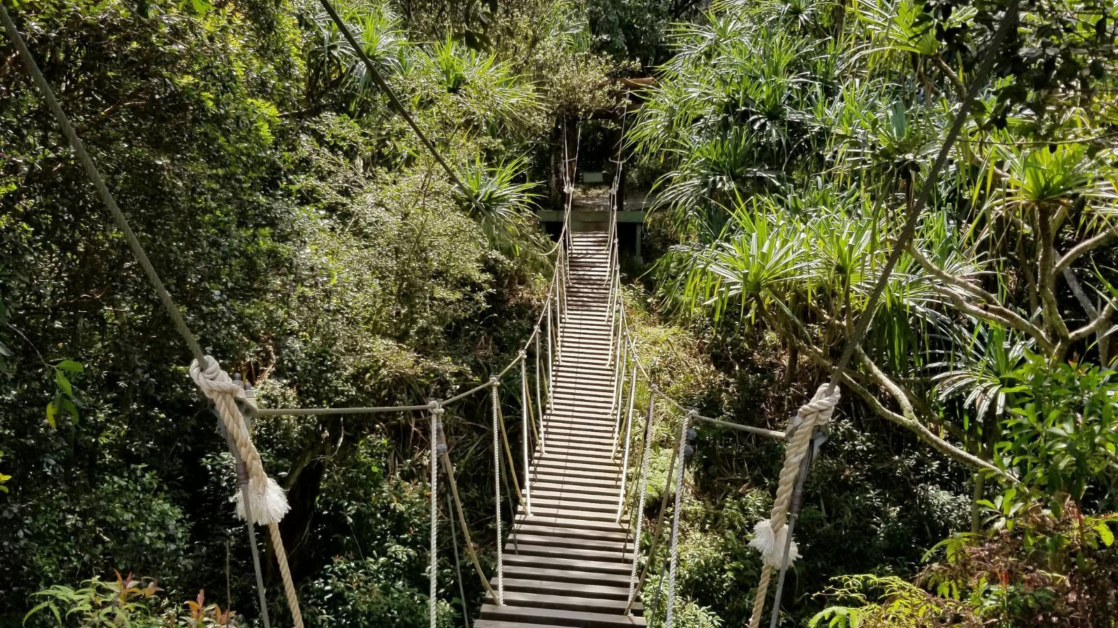 10 Dangerous Hikes You Can Still Tackle (If You Dare)