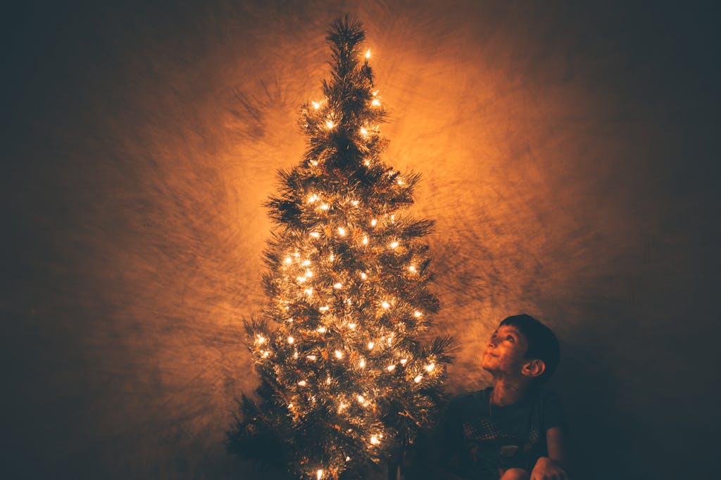 A child smiles at a beautifully lit Christmas tree highlighting the festive glow.