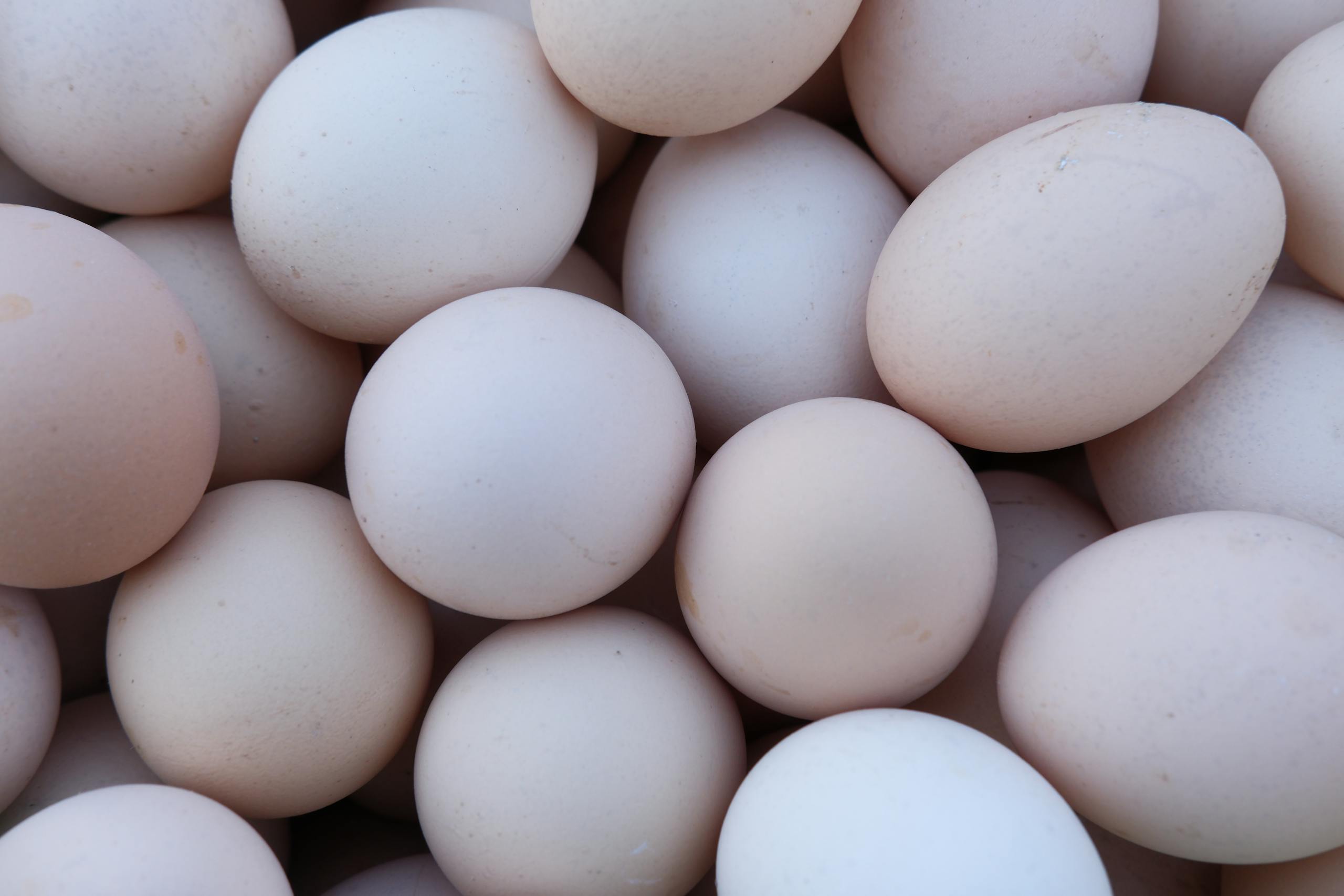 A detailed shot of fresh, uncooked eggs, ideal for culinary and farm-related themes.