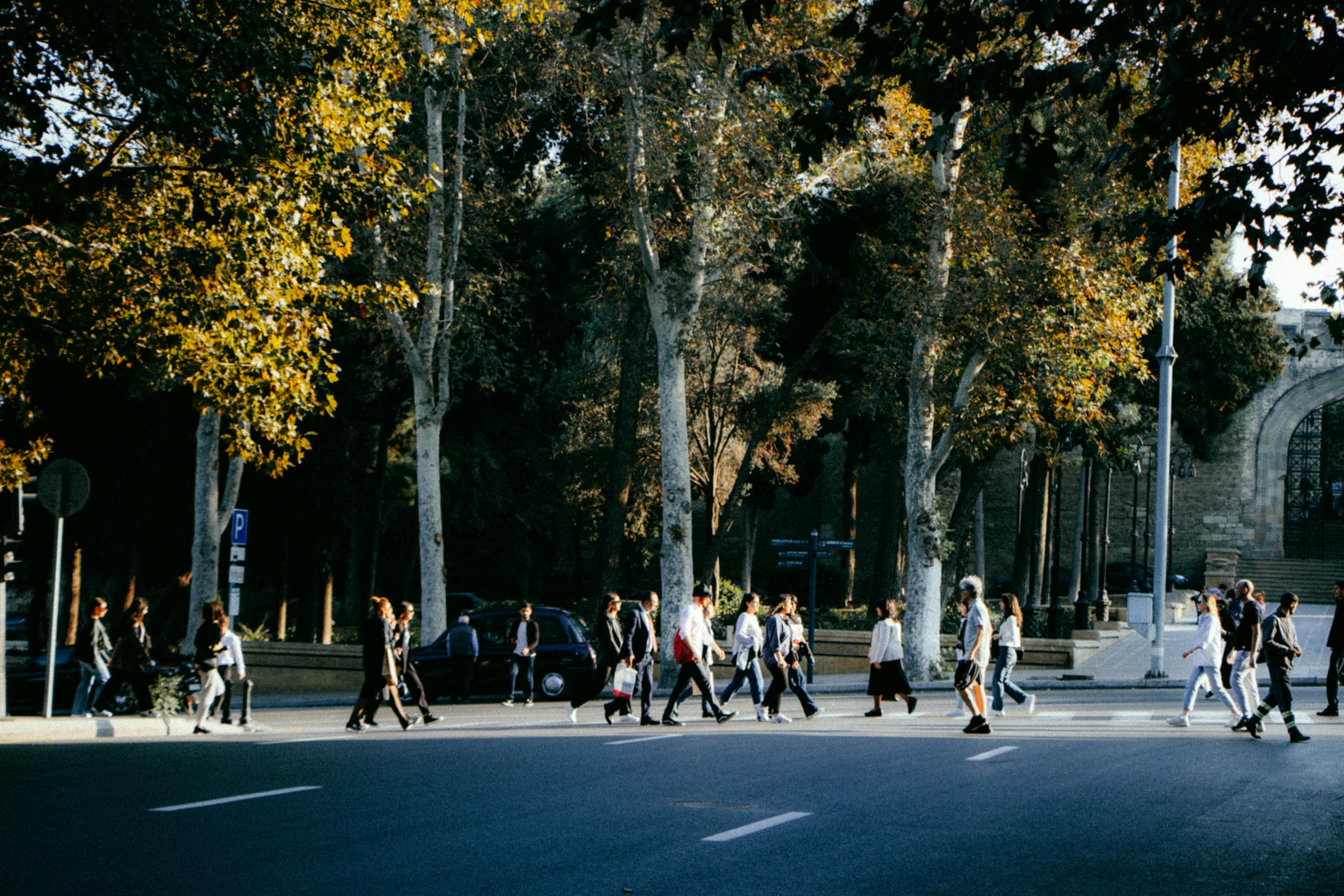 A group of pedestrians crossing a sunlit city street lined with autumn trees.