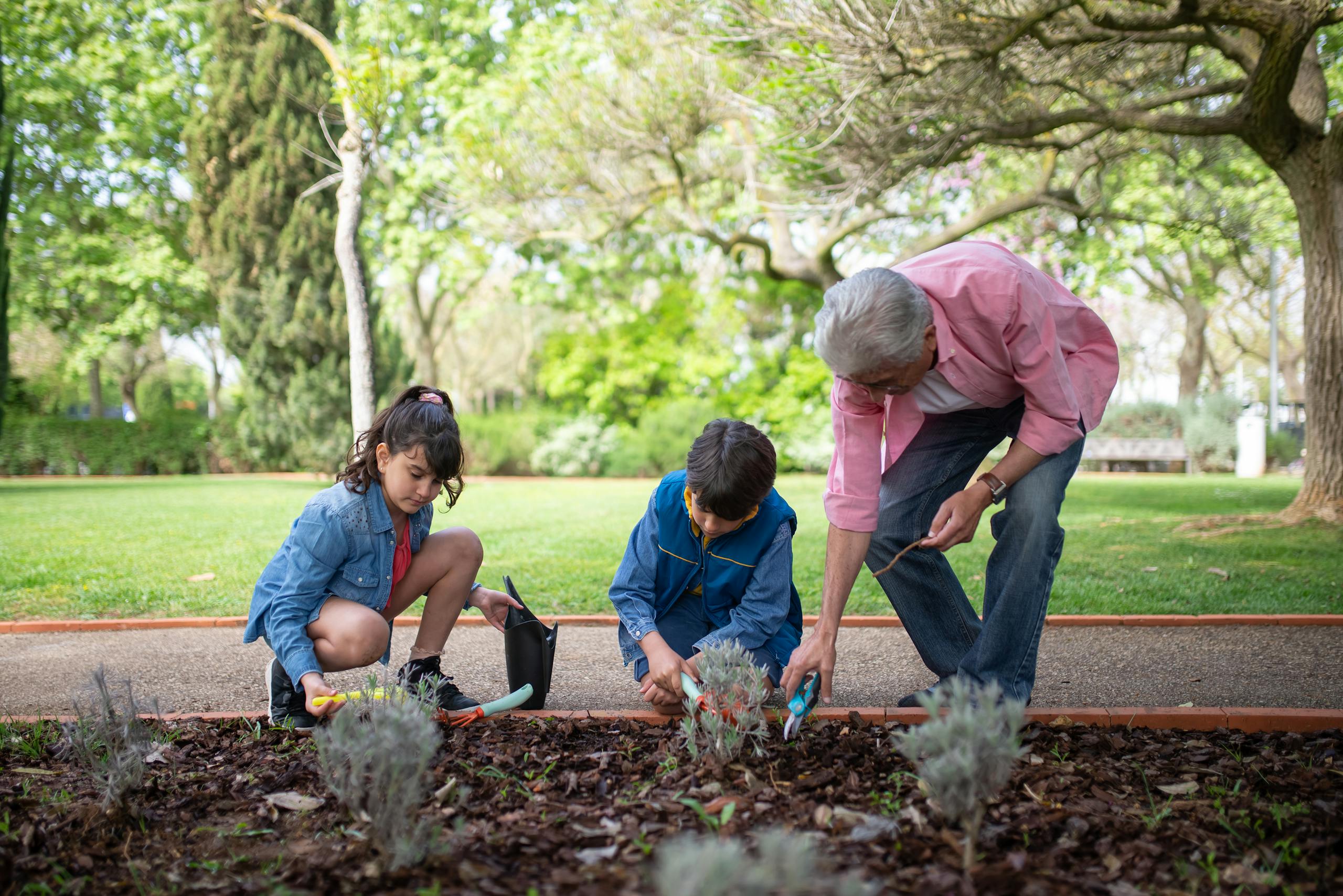 A senior man gardening with his grandchildren in a lush green park on a bright day.