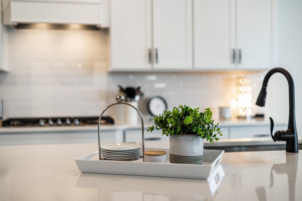 A sleek modern kitchen counter with decor accents, including a potted plant and a faucet.