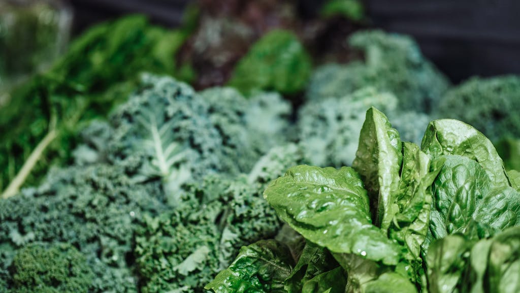 A vibrant mix of fresh kale, spinach, and textured greens in a close-up shot.