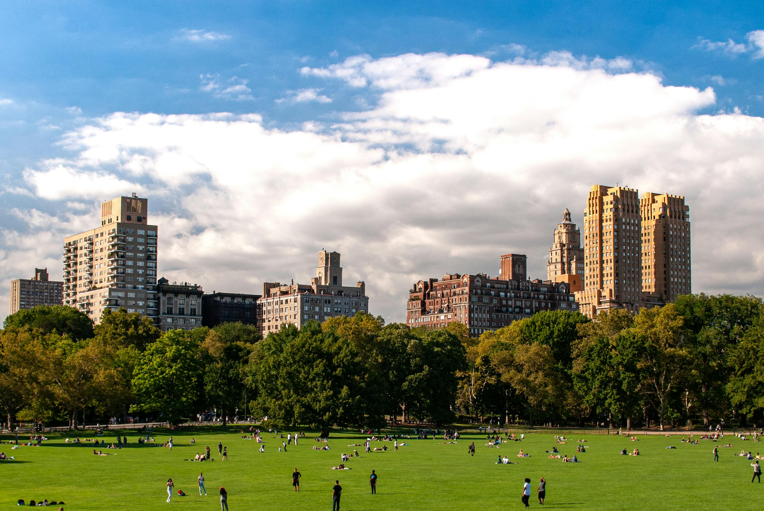 A vibrant view of Central Park with people relaxing and NYC skyline in the background.