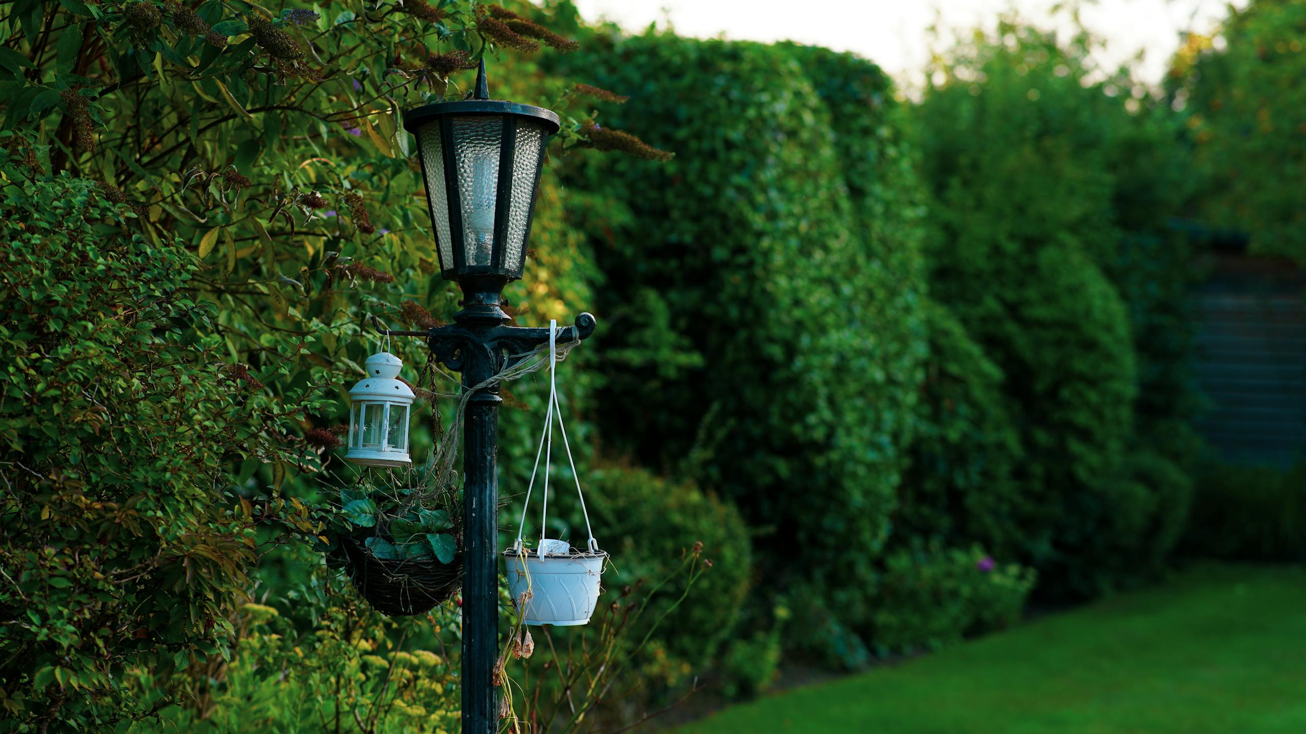 A vintage style lantern illuminated in a lush green garden creates a tranquil outdoor atmosphere.