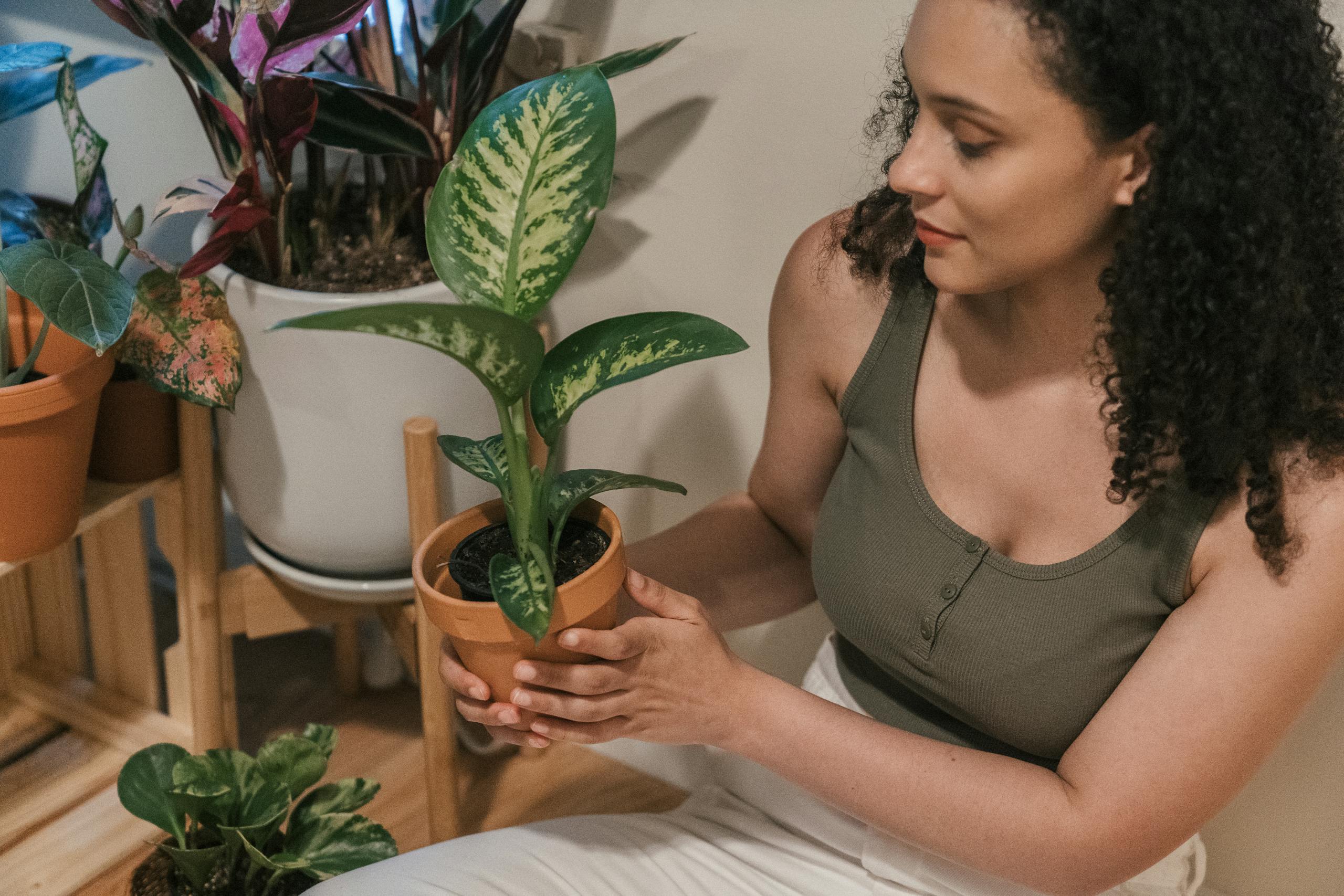 A woman with curly hair holding a potted plant indoors, surrounded by houseplants.