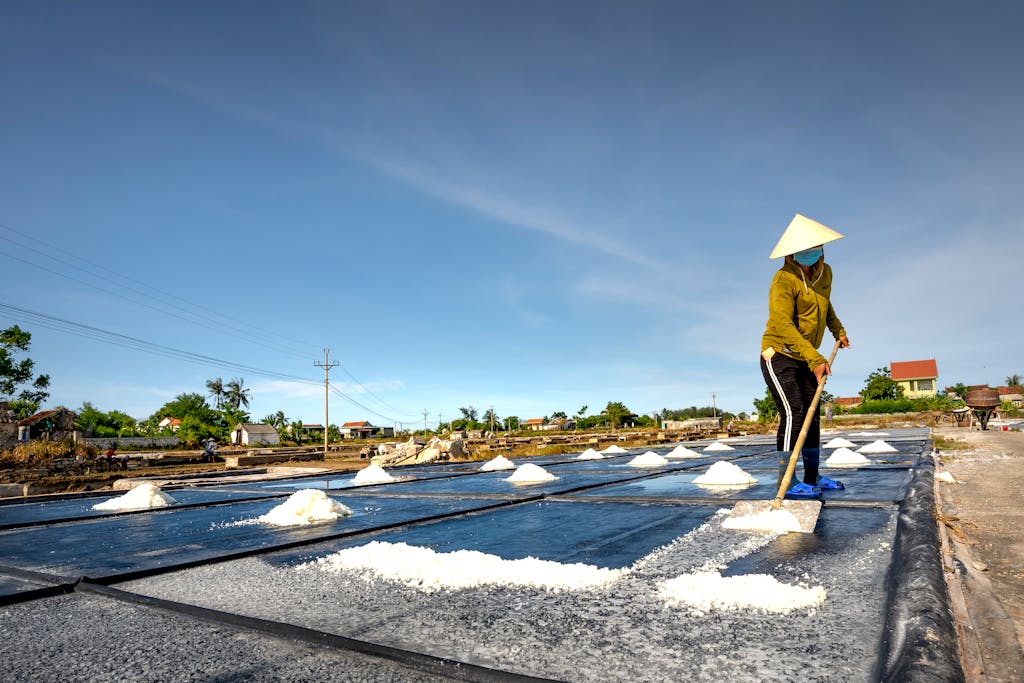 A worker wearing a conical hat collects salt in an outdoor evaporation field on a sunny day.