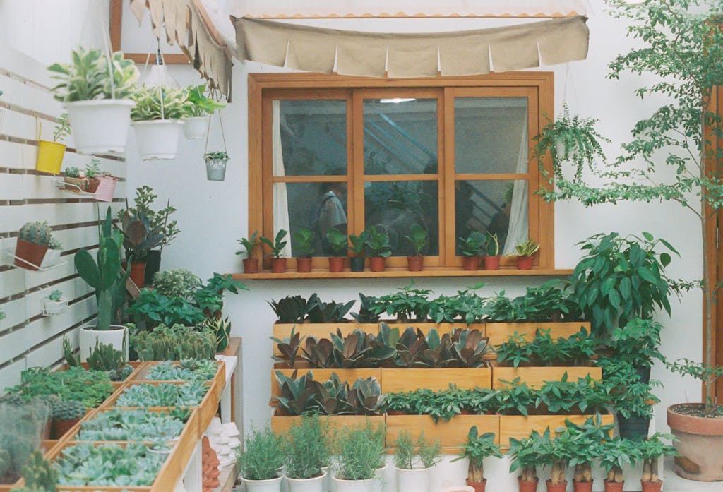 Charming indoor garden with potted succulents and herbs by a wooden window, creating a natural decor.