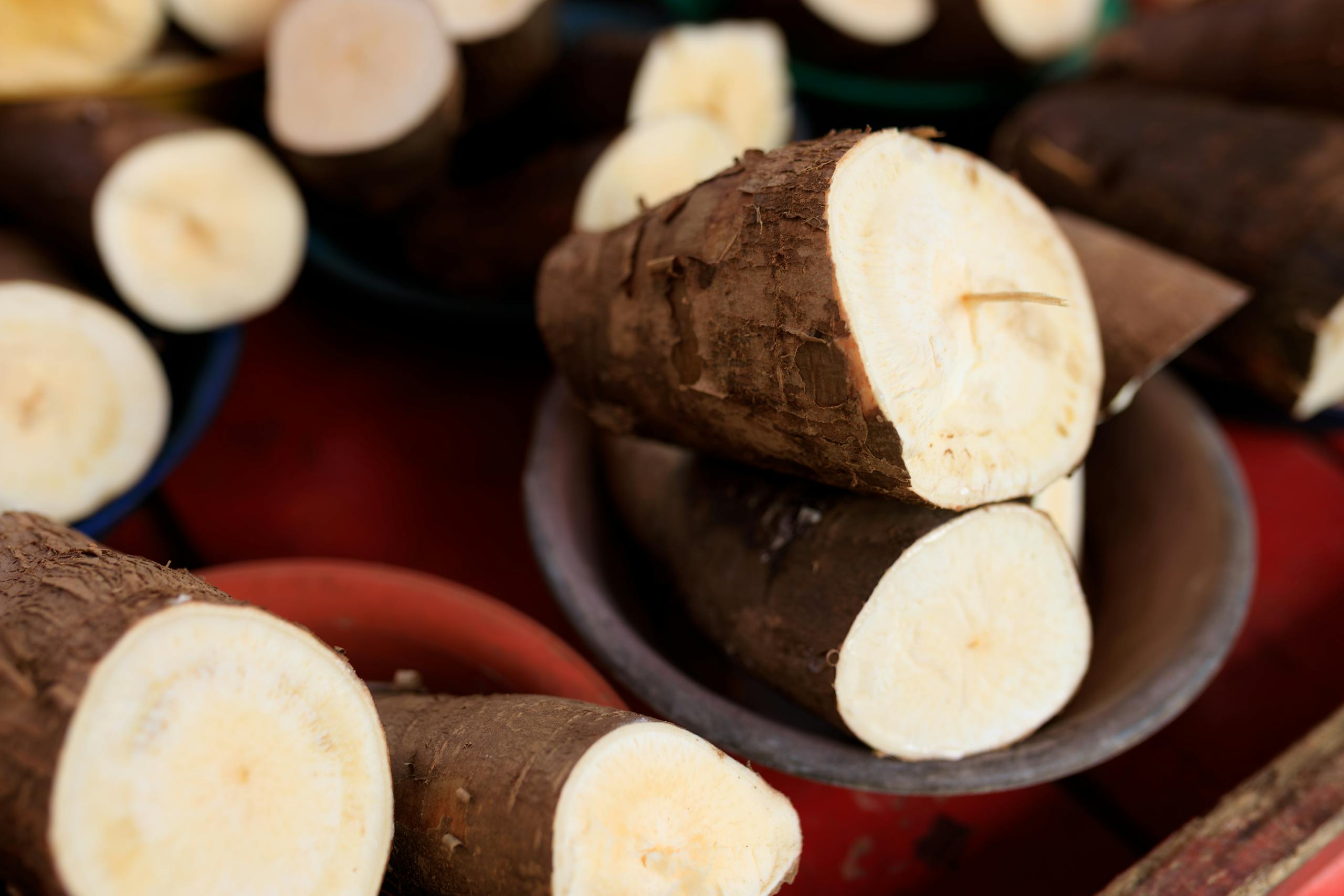 Close-up image of freshly cut cassava roots arranged in bowls, ready for cooking.