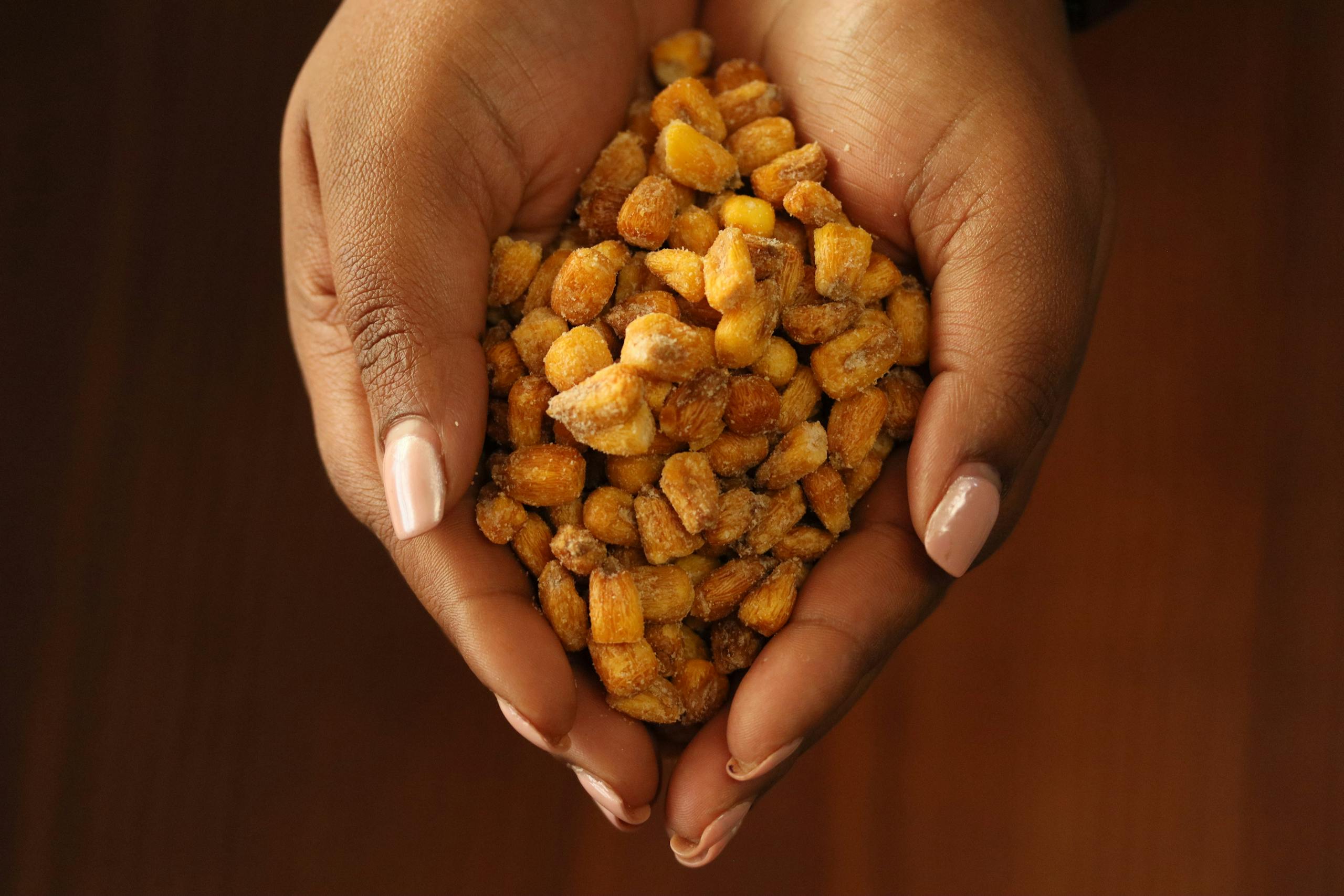 Close-up of hands holding crunchy roasted corn snacks on a wooden background.