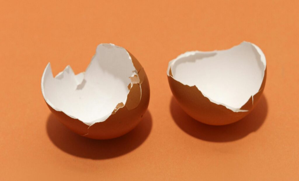 Close-up of two broken eggshells on a bright orange backdrop.