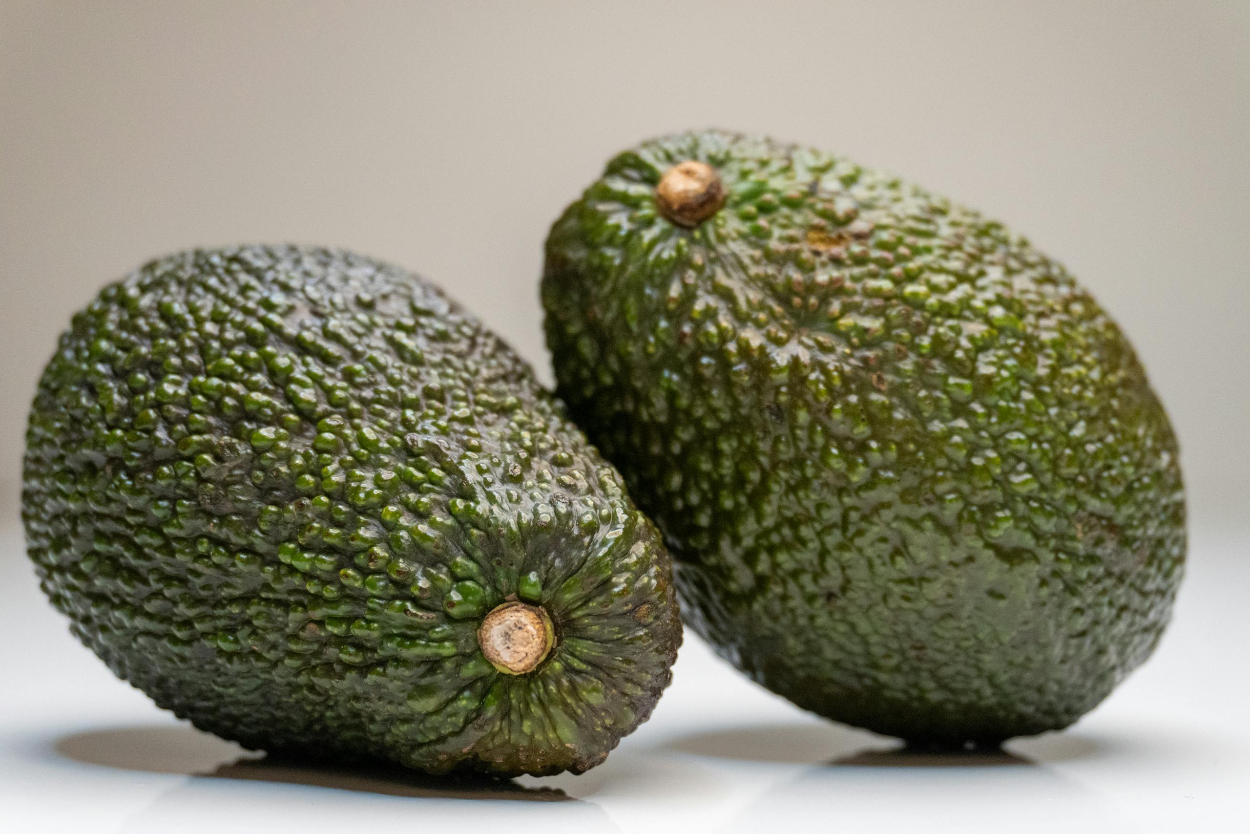 Close-up of two fresh organic avocados displayed on a white background, highlighting their textured skin.