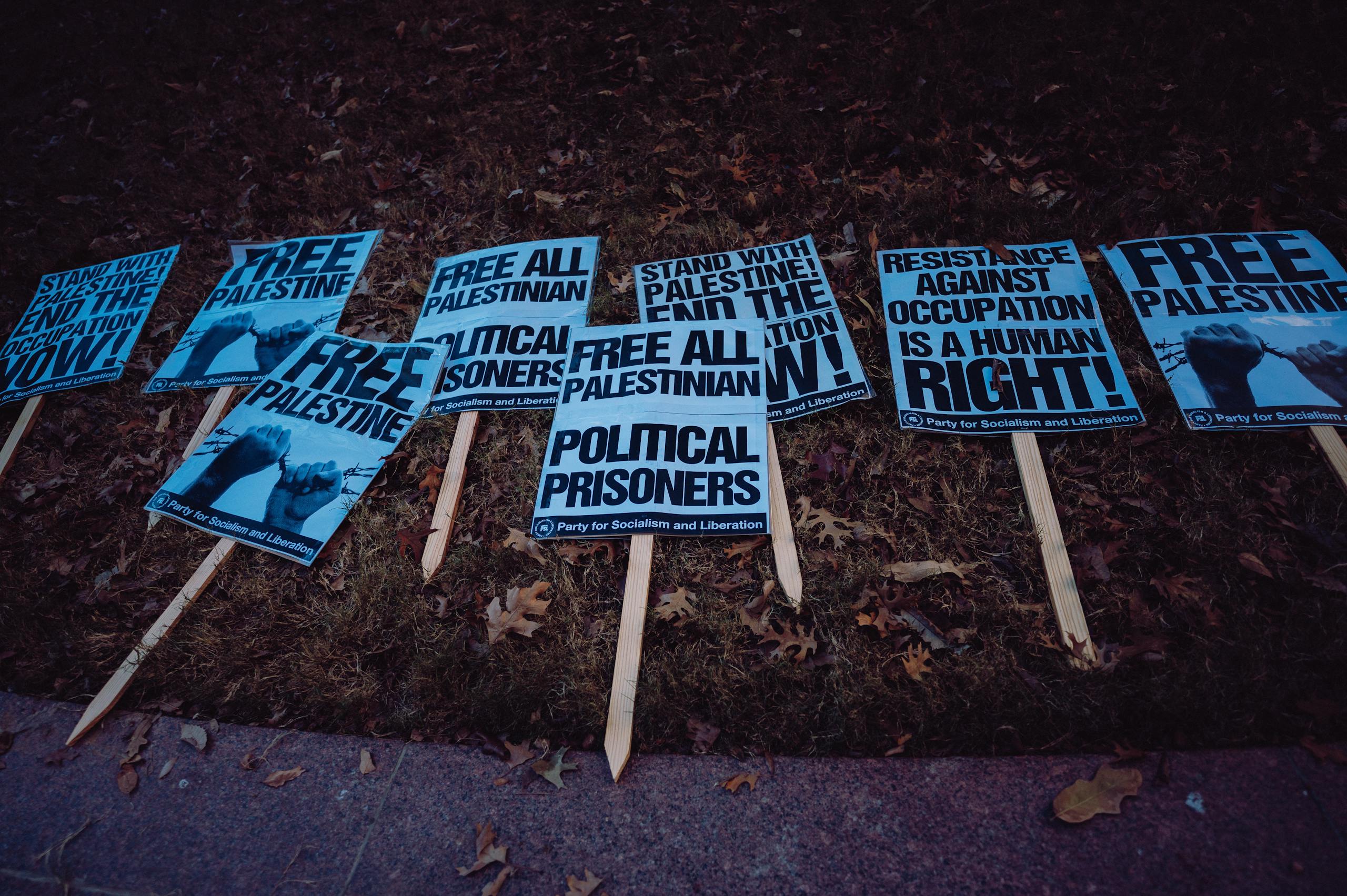 Collection of protest signs advocating for Palestinian freedom and political rights.
