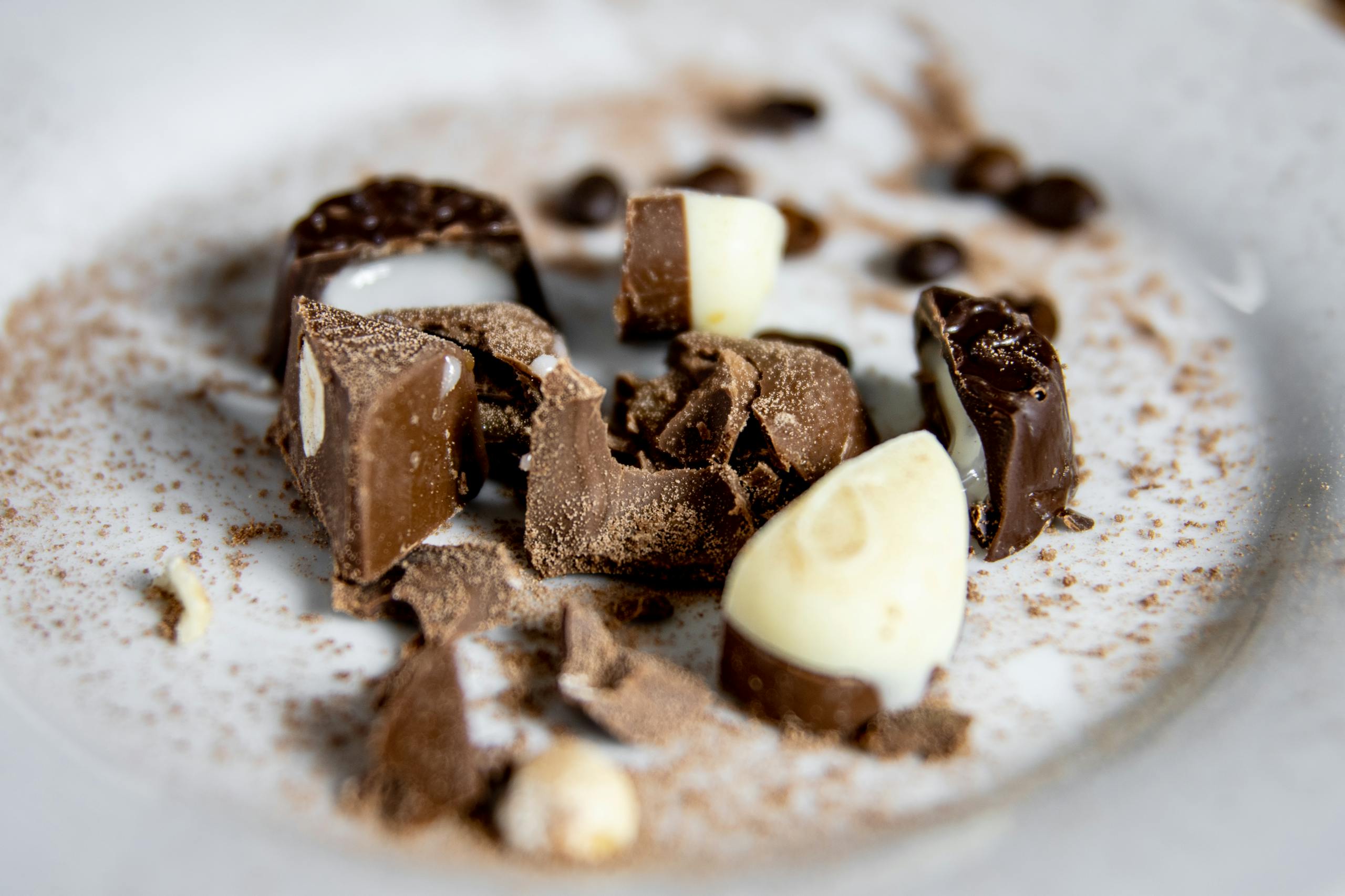 Delicious variety of milk and white chocolates on a plate with cocoa powder.