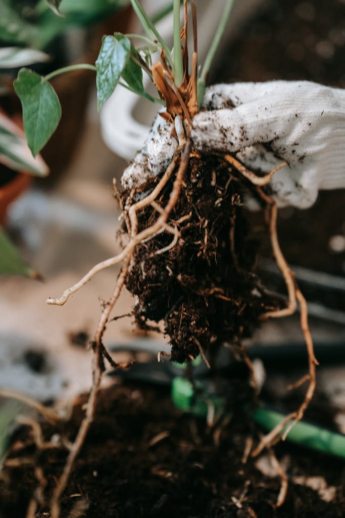 15 Startling Discoveries About Plant Habits