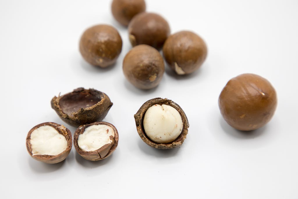 If You Don’t Eat These 8 Foods, Your Desire and Wellness Will Continue to Decline 4 Detailed view of raw macadamia nuts showing whole and open shells on a white background.