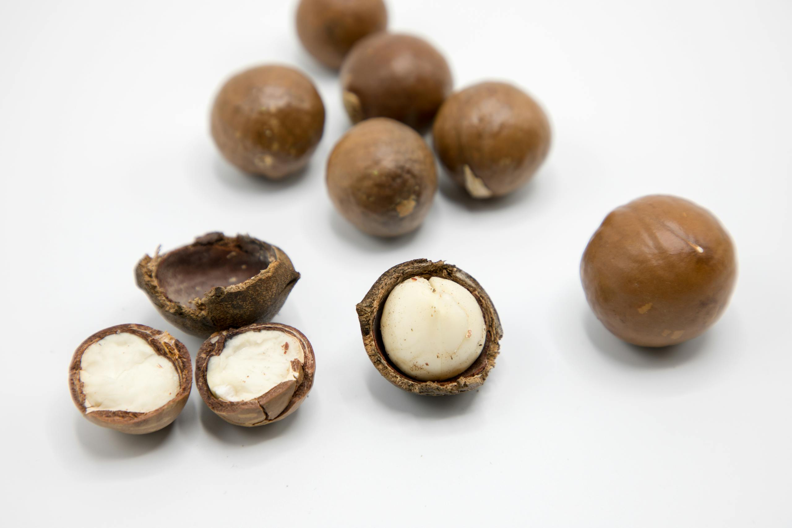 Detailed view of raw macadamia nuts showing whole and open shells on a white background.