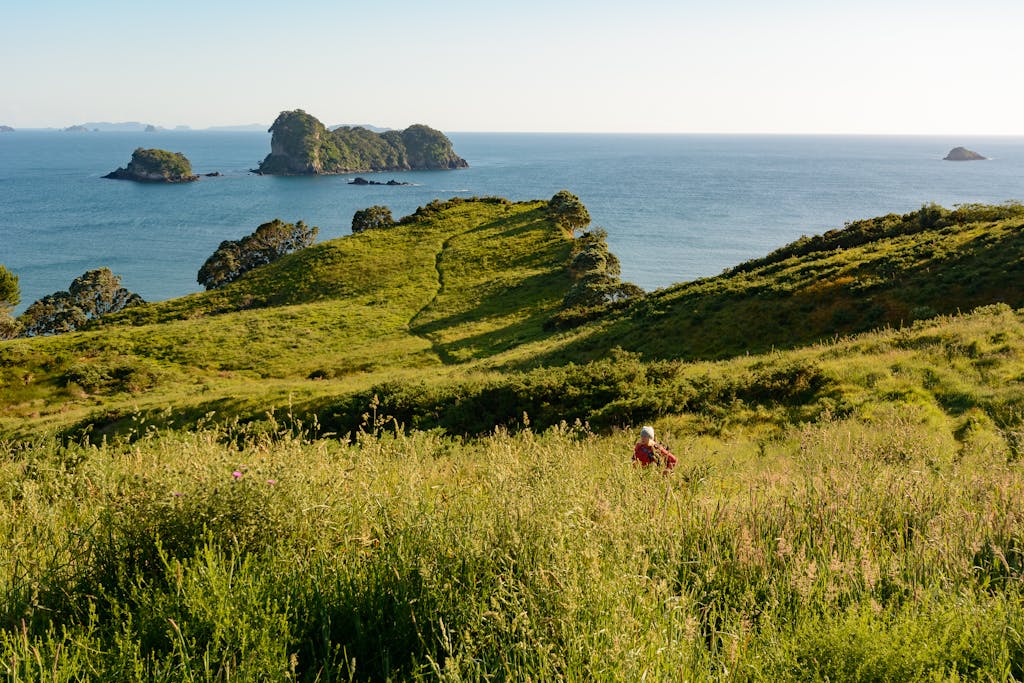 Explore the lush green hills and ocean views of New Zealand's stunning coastline.
