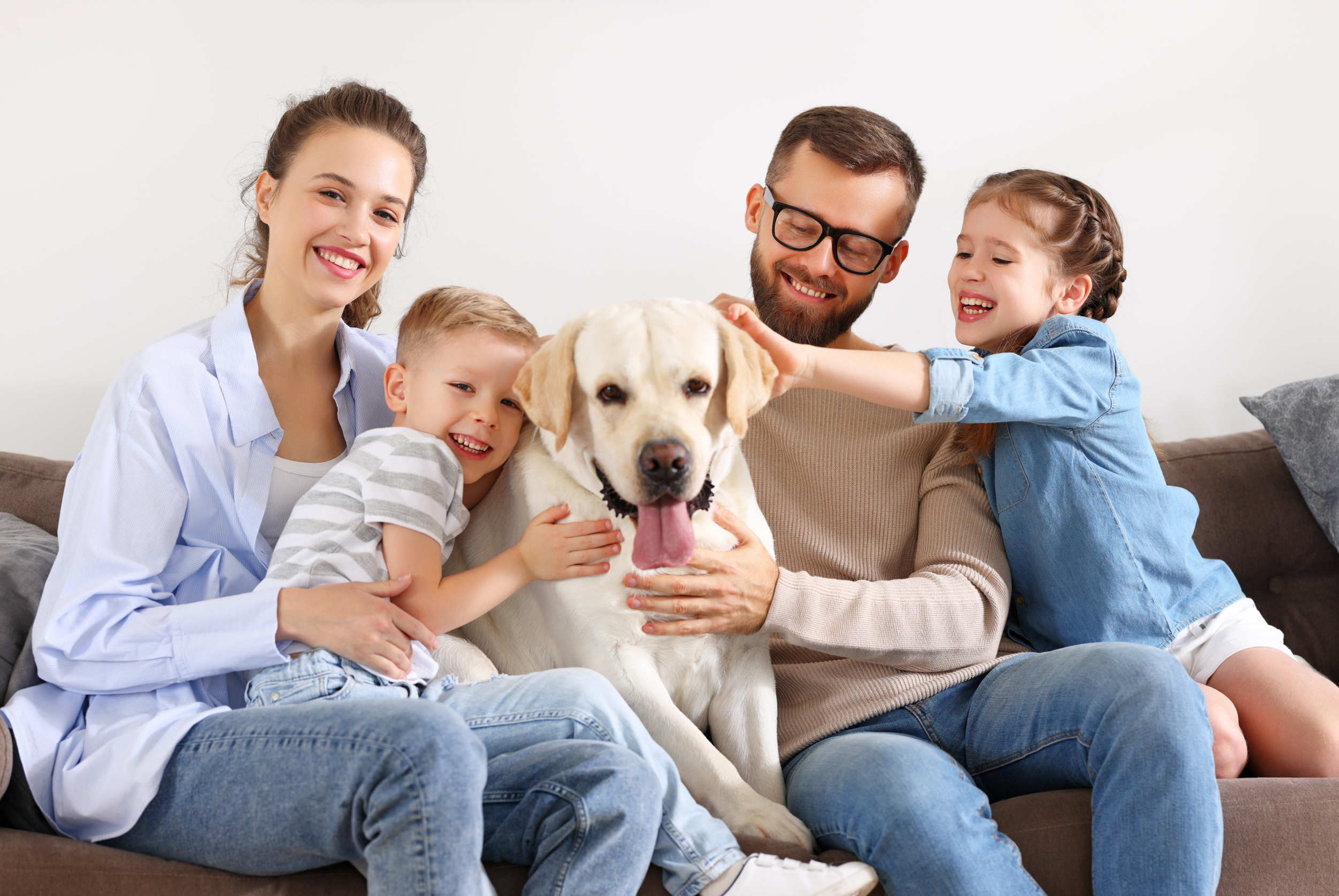 12 Family-Friendly Dog Breeds That Will Steal Your Heart (And Your Kids’ Too)