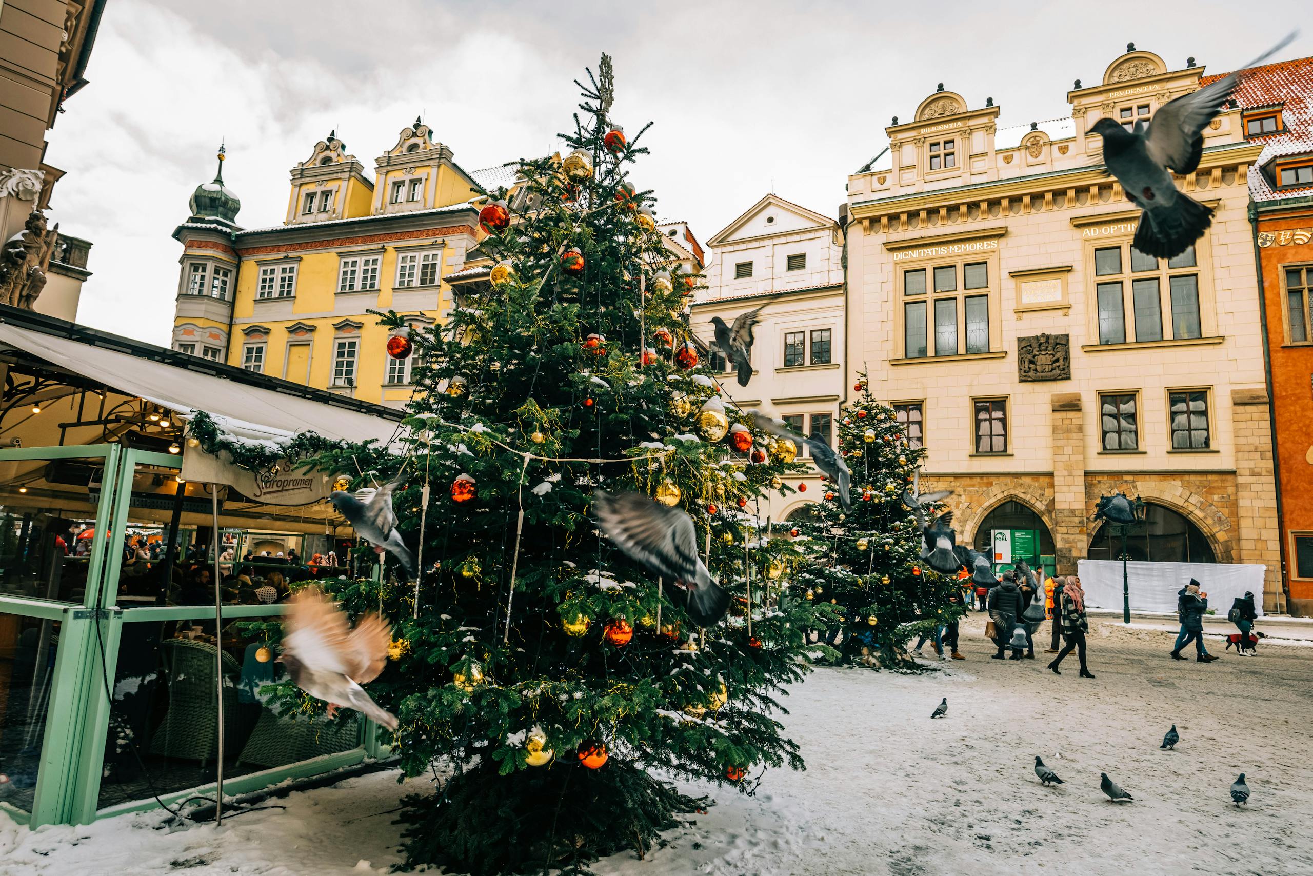 Festive Christmas market in a snow-covered Prague square with decorated trees and historic facades.