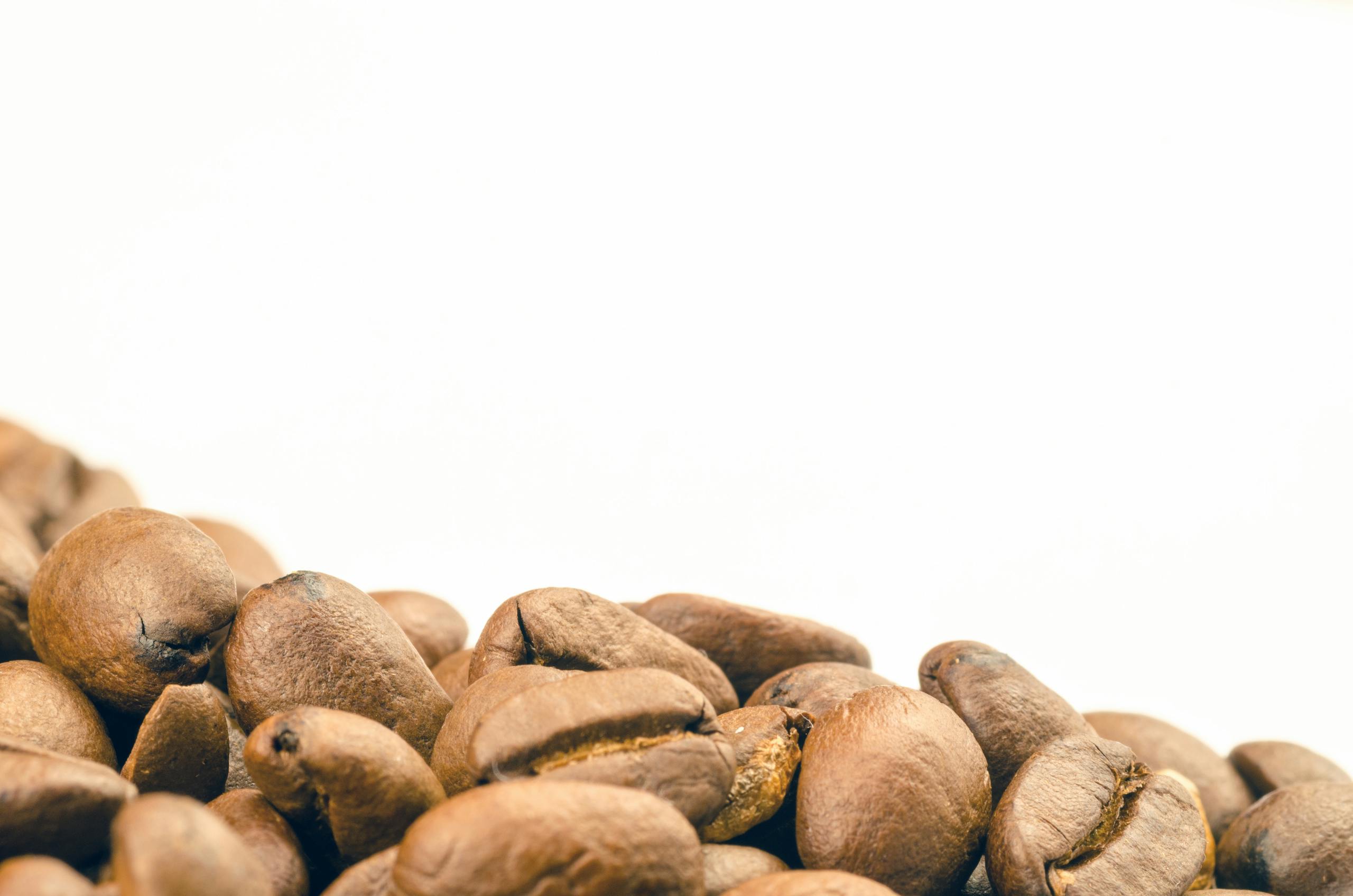 Macro shot of fresh brown coffee beans isolated on a white background.