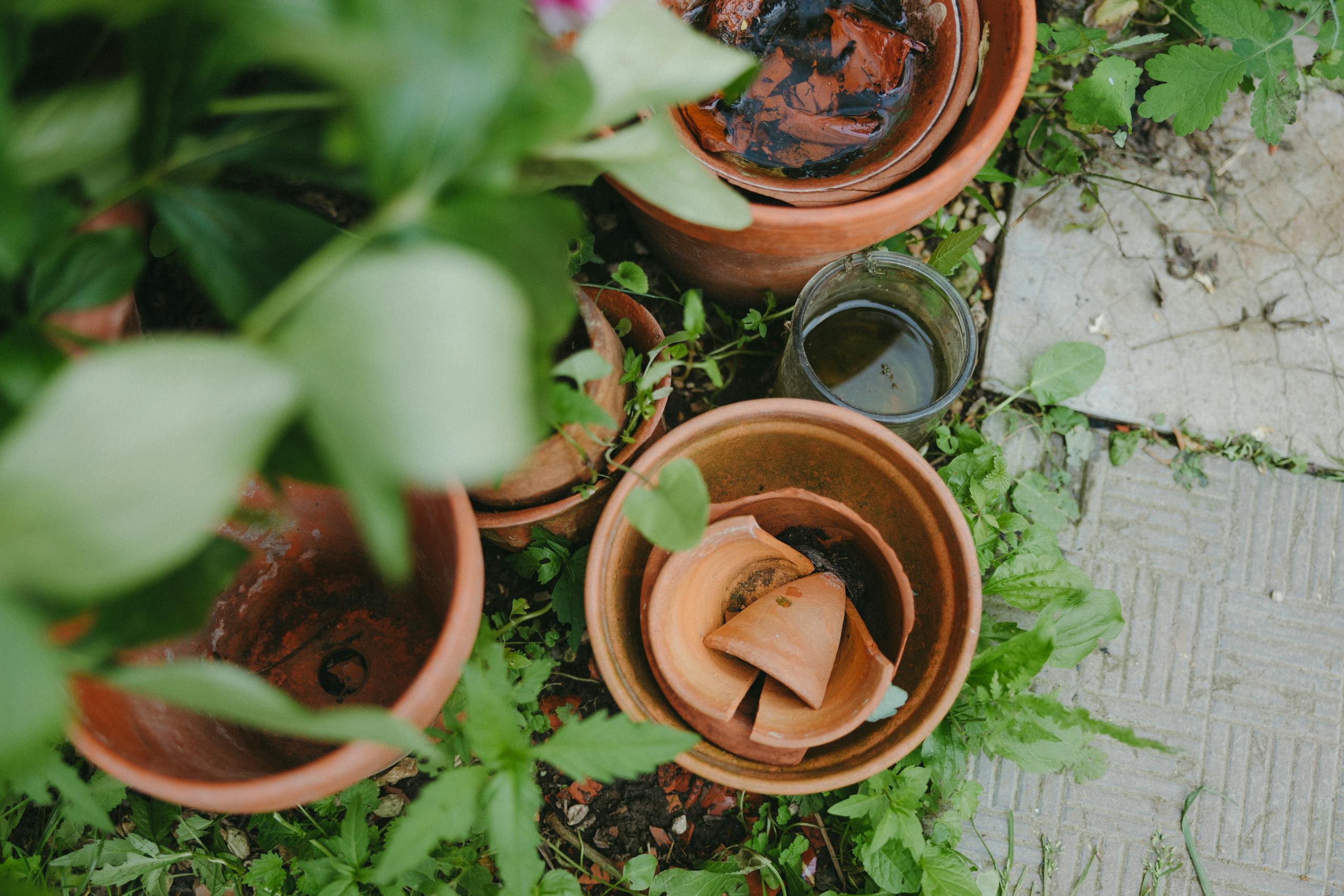 Overhead view of broken clay pots surrounded by plants and greenery.