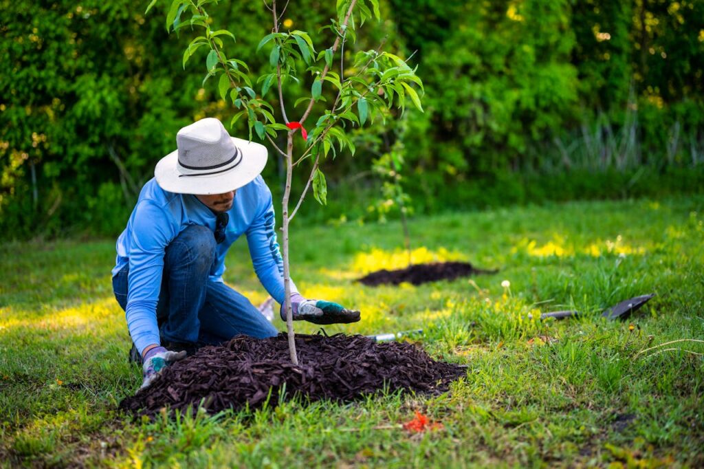man-in-blue-long-sleeve-shirt-planting-a-tree-