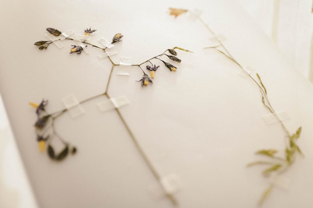 dried-flowers-