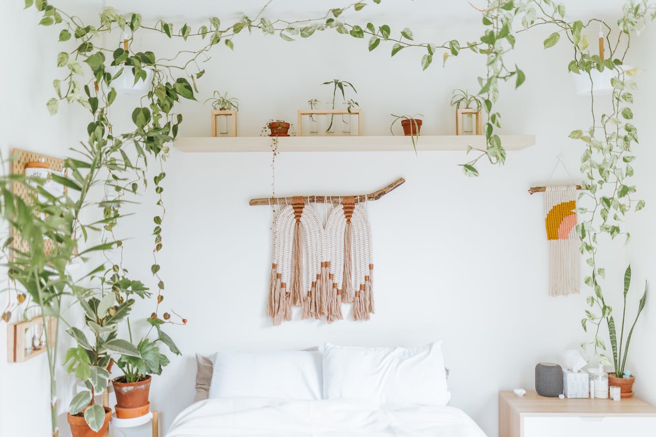 /indoor-plants-in-a-bedroom