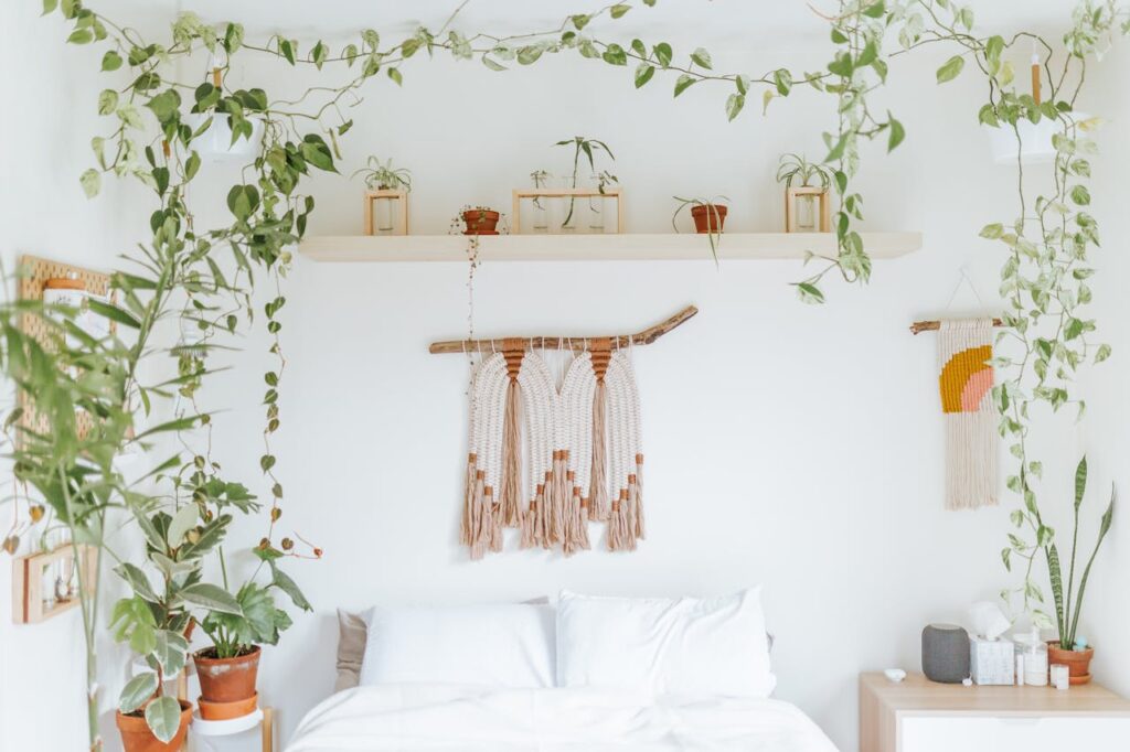 /indoor-plants-in-a-bedroom-