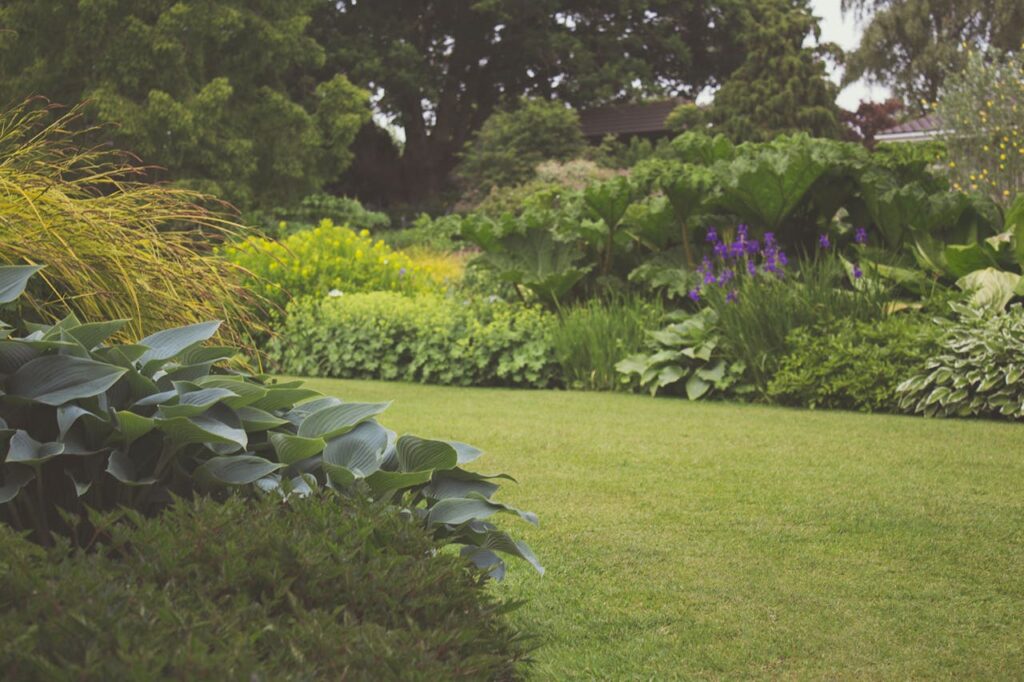 assorted-plants-with-trees-photography