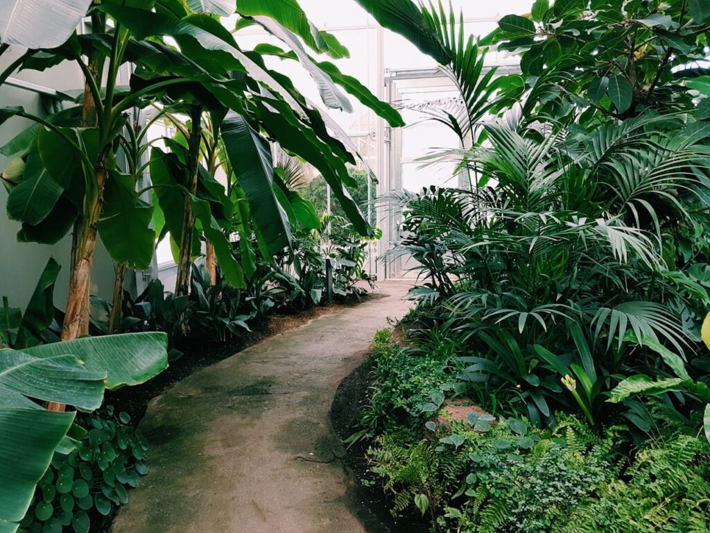 photography-of-pathway-surrounded-by-plants-