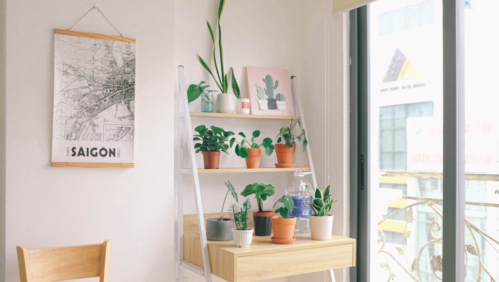 flower-pots-on-brown-wooden-table-near-glass-wall-