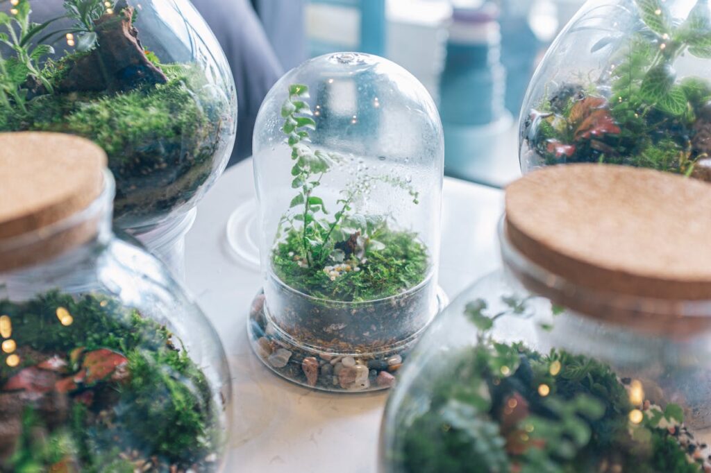/plants-in-glass-containers-