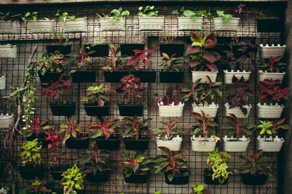various-potted-plants-in-orangery-