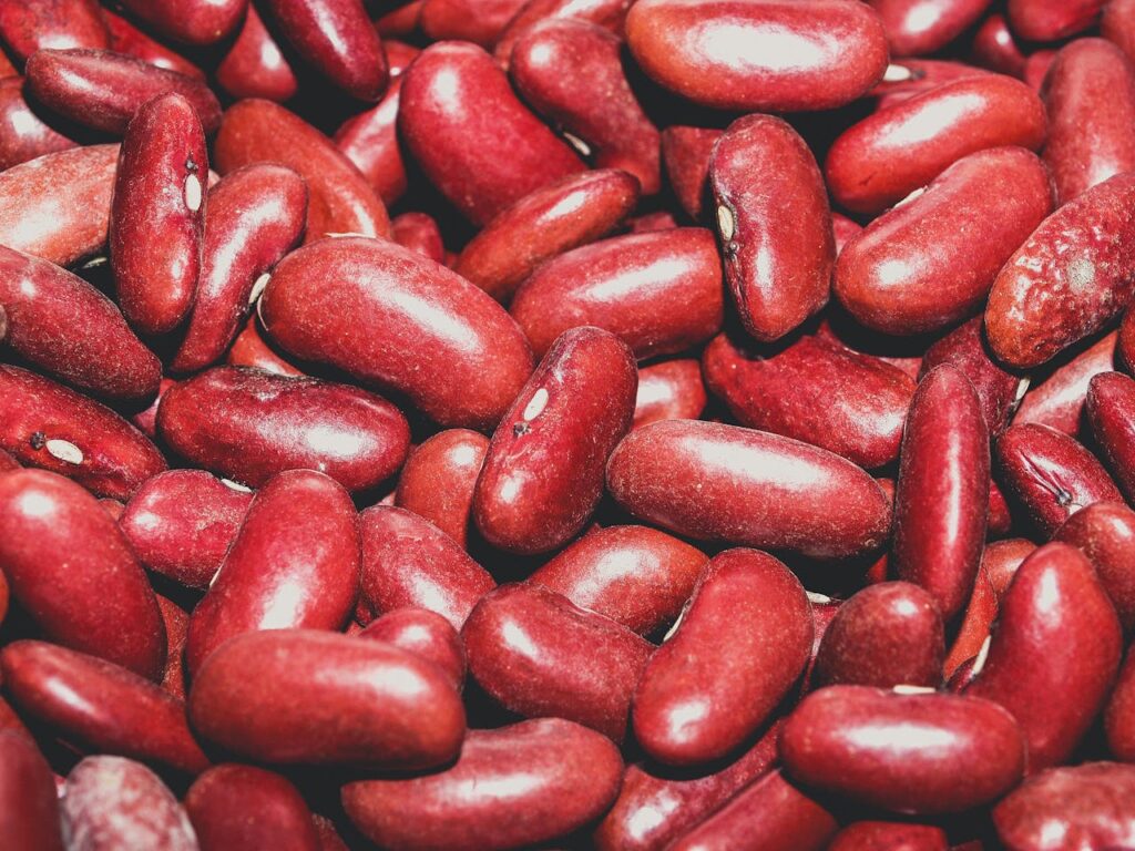 red-seed-lot-