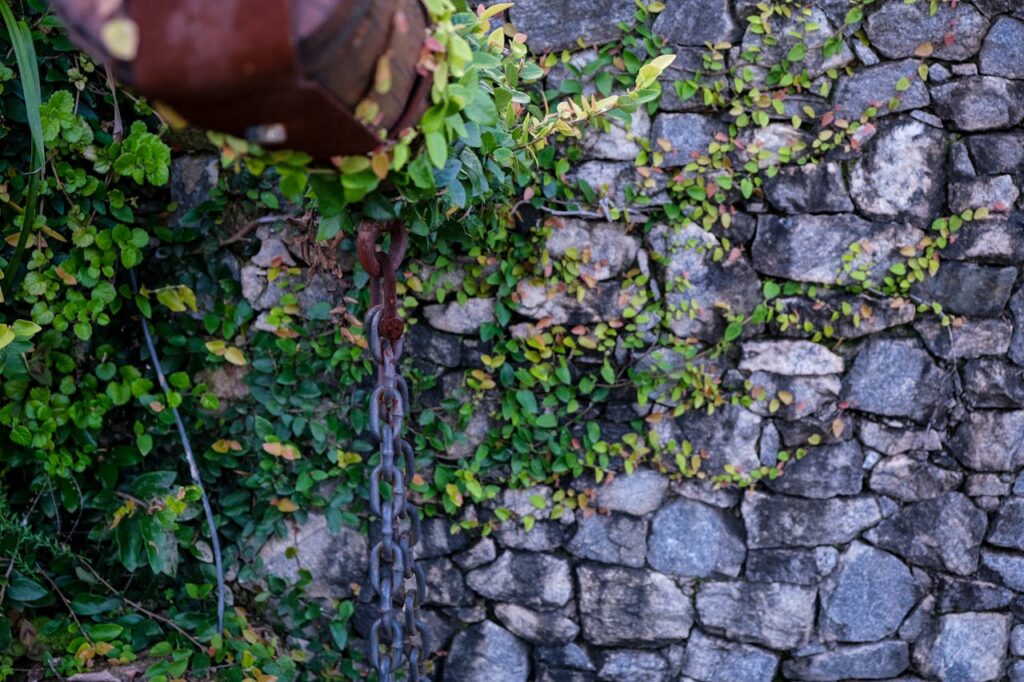 overhead-shot-of-a-chain-near-leaves-