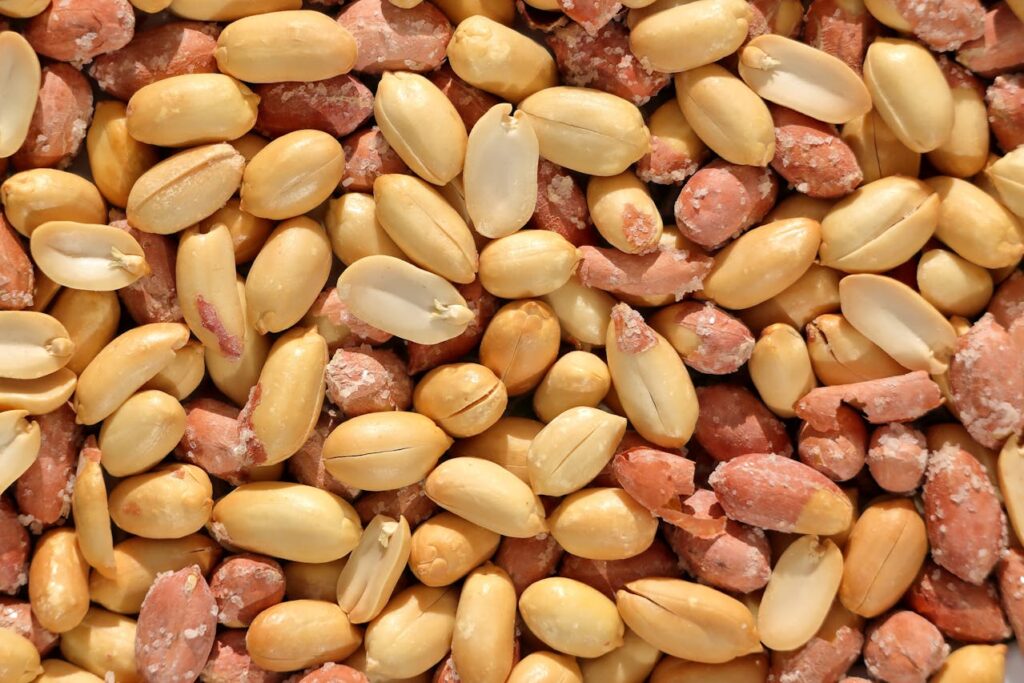 close-up-view-of-roasted-peanuts