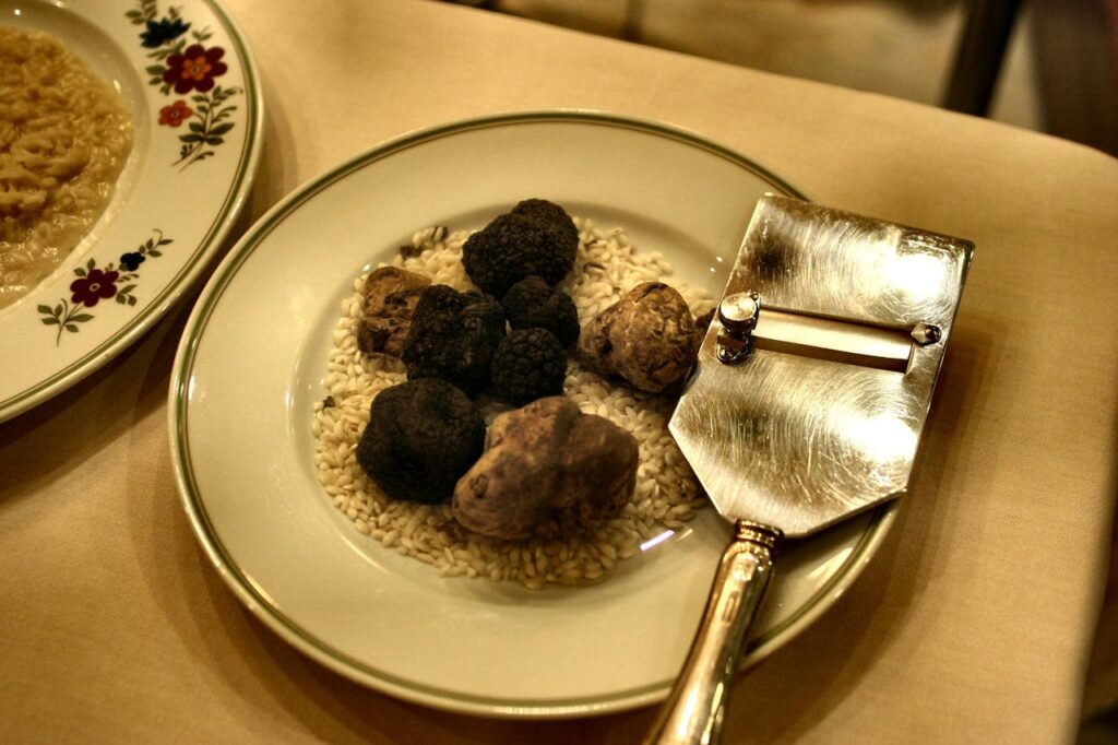 photo-of-truffles-on-the-plate-