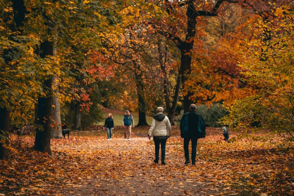 people-walking-on-a-forest-park-with-fallen-leave