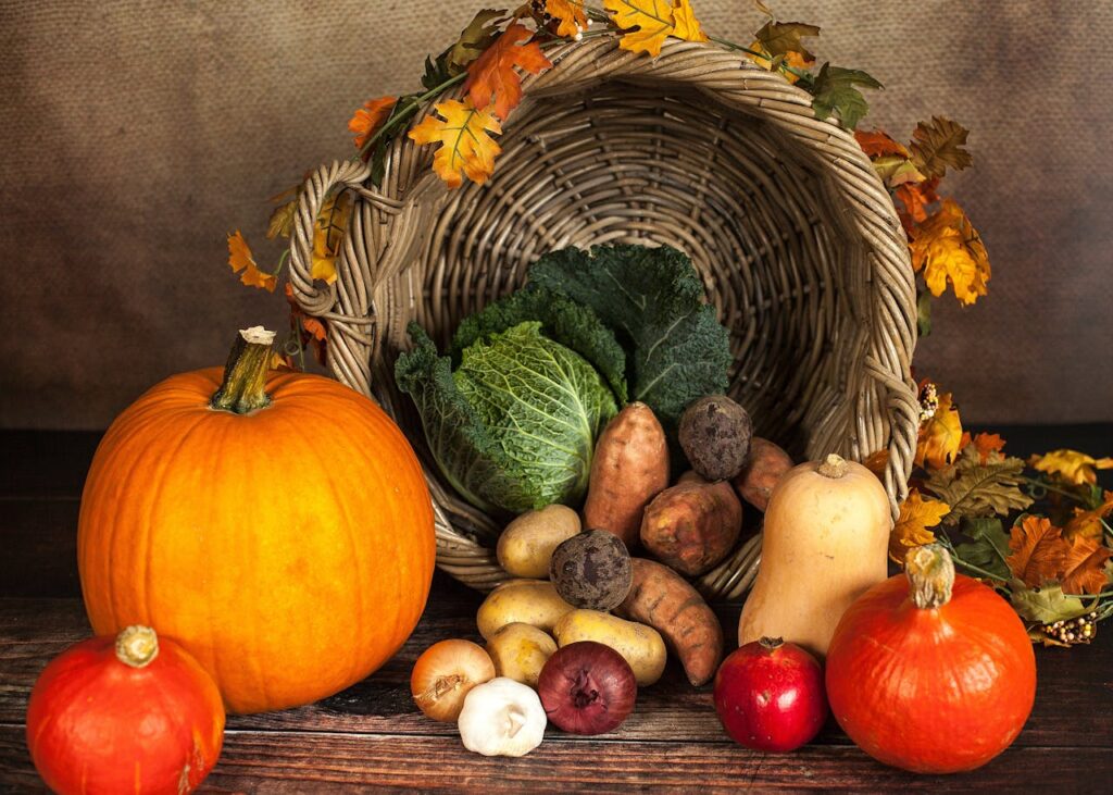 vegetable-and-crops-beside-spilled-basket-