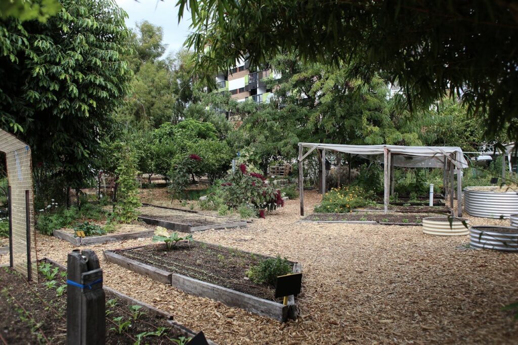 /view-of-a-large-garden-with-plants-and-trees-