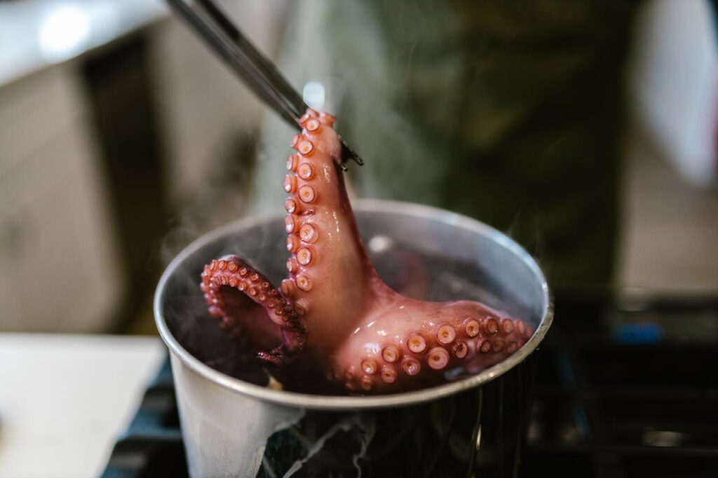 /octopus-in-pot-on-stove
