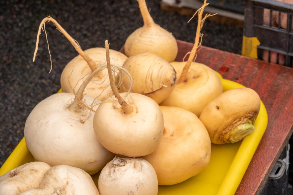resh-turnips-in-vibrant-market-display-