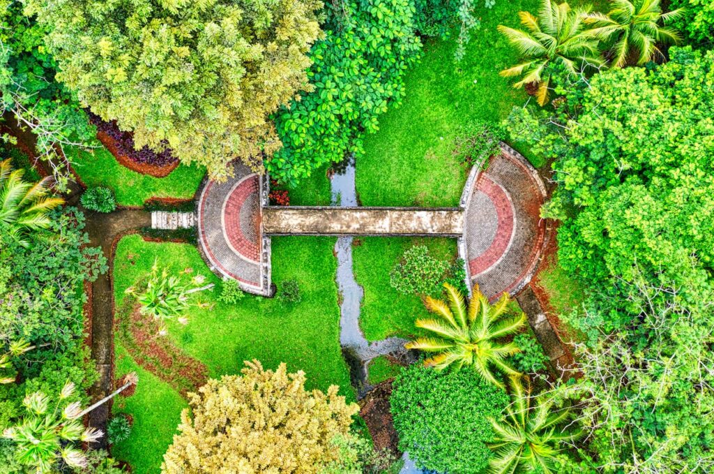 birds-eye-view-of-a-garden-in-indonesia-