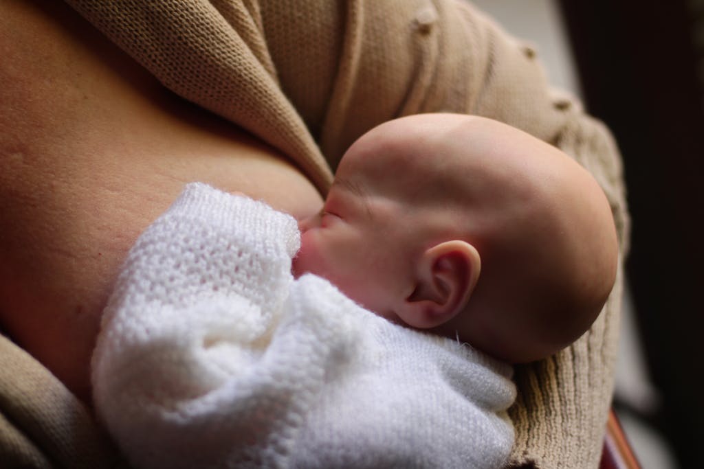 Tender scene of a mother breastfeeding her newborn in a cozy setting, capturing the essence of maternal care.