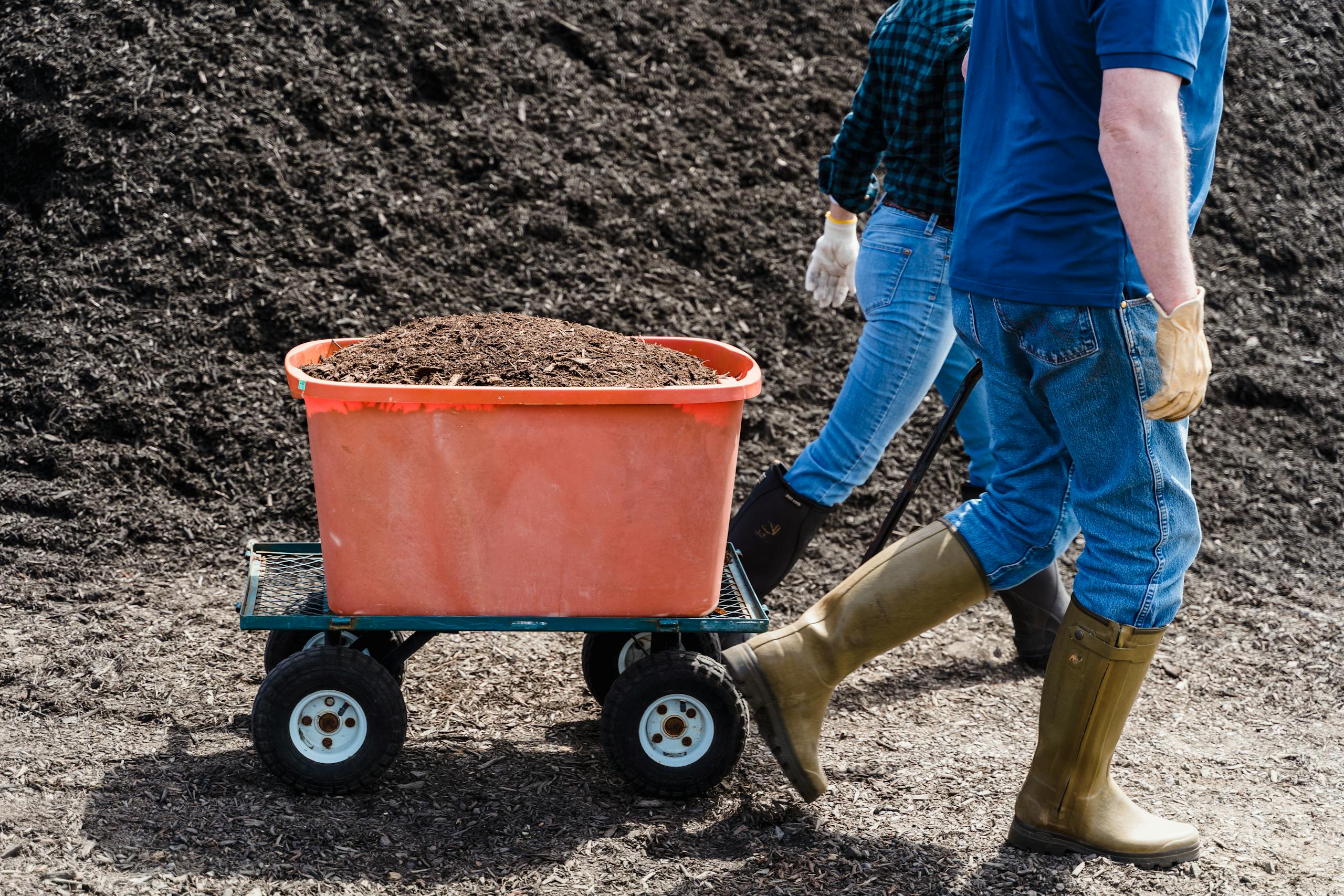 Two people transporting soil with a trolley in a farmland setting.