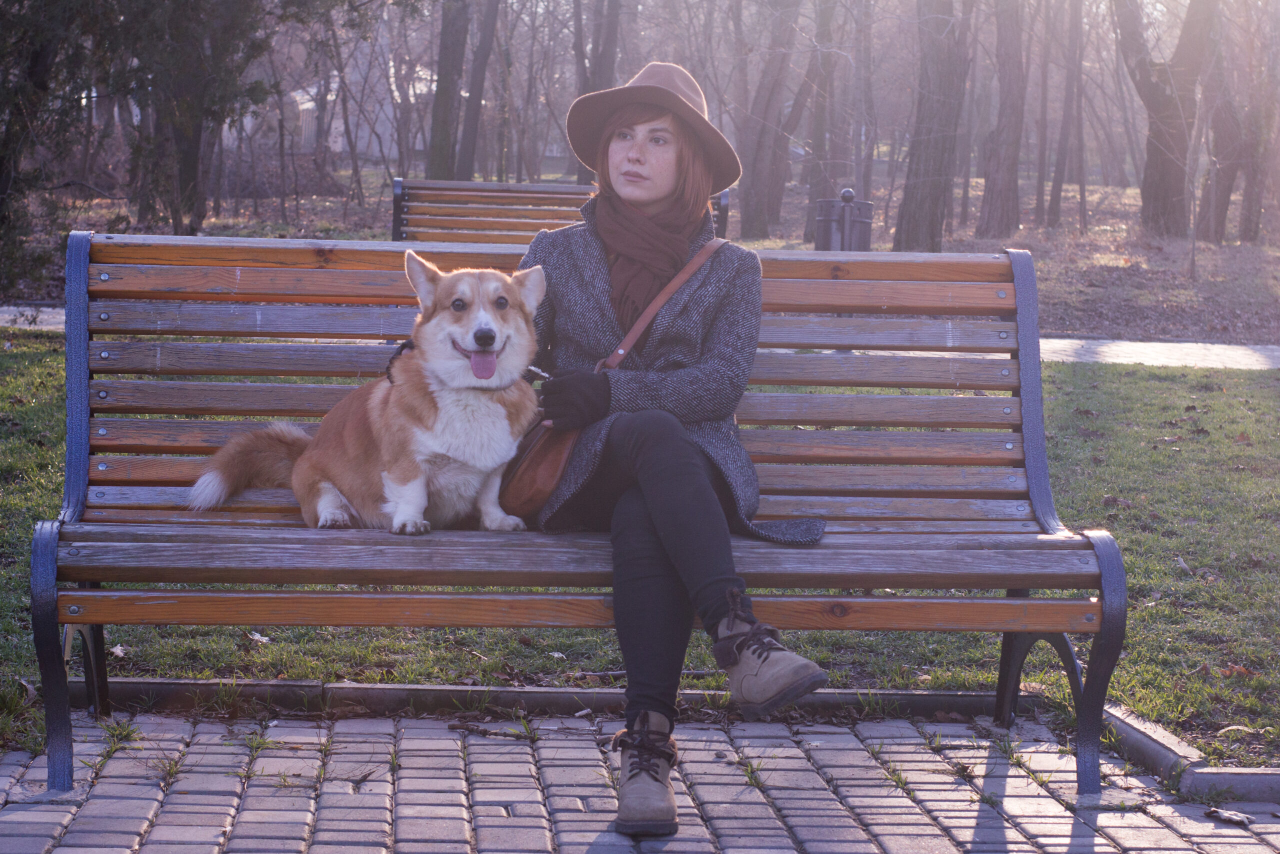 You’re Probably Making These 10 Dog Park Mistakes, and They Could Be Dangerous
